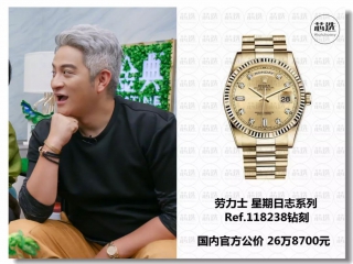 湖南卫视《歌手》里面都戴了什么表？