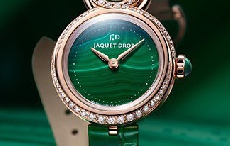 别致优雅：雅克德罗（Jaquet Droz）呈献两款全新  优雅8系列PETITE女士腕表