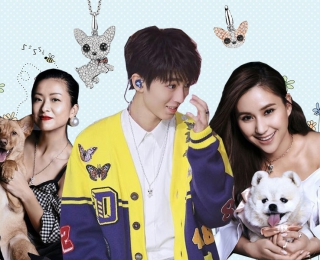 长了一张撒娇脸的Wang Wang，王俊凯、徐濠萦、何超莲都把持不住