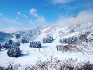 迷恋“信州雪”后，方懂雷克萨斯独一无二的色彩哲学！