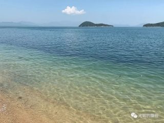 【真芯话】好好爱我，好好爱你｜入门镶钻女表实戴心得