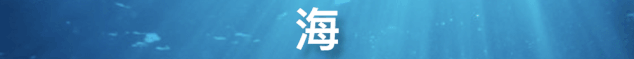 小哈出品，硝烟版“亲爱的，热爱的”