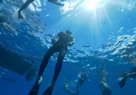 沛纳海| 特别体验再出击 15位英雄与沛纳海品牌大使纪尧姆·内里开启法属波利尼西亚水下冒险之旅