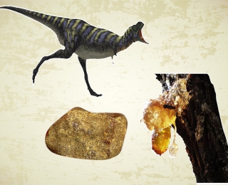 我們能像《侏羅紀公園》那樣從琥珀中克隆出恐龍嗎?