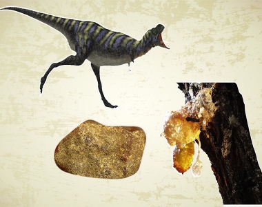 我们能像《侏罗纪公园》那样从琥珀中克隆出恐龙吗?