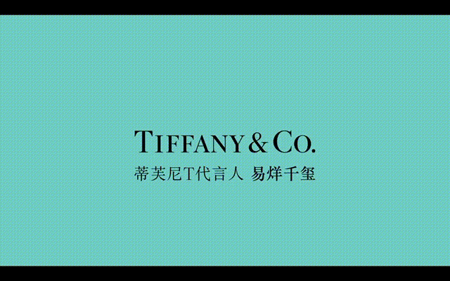 9个时尚品牌的14位代言人