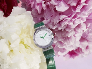 宝格丽新出了两款“祖母绿”腕表，和真力时“大飞”还挺配！
