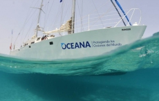 Oceana与Blancpain宝珀宣布建立独家合作伙伴关系