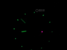 大美至简复古60年代 分享格拉苏蒂冰蓝限量 