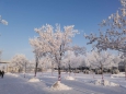 雾凇与白雪 都不能掩盖泰格豪雅摩纳哥的美