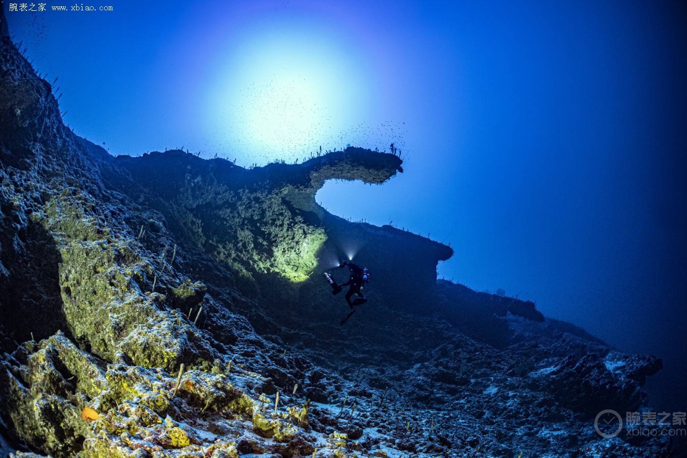 新海山地图发现一万九千座海底火山—新闻—科学网