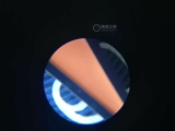 蓝色光盘十分漂亮 显微镜下的万国小王子
