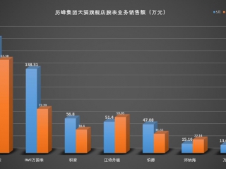 热门款不排队！你敢上天猫买江诗丹顿吗？