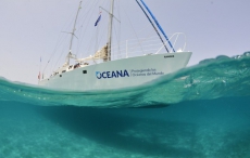 宝珀Blancpain携手Oceana 保护墨西哥湾珊瑚礁