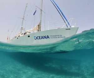 宝珀Blancpain携手Oceana 保护墨西哥湾珊瑚礁