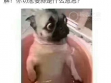 质感无敌无愧钢王称号  爱彼皇橡值得拥有