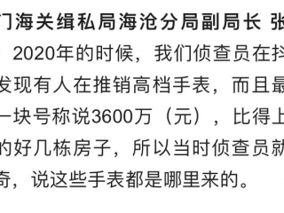 厦门海关侦破案值2亿元的钟表走私案