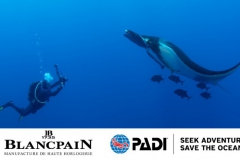 宝珀携手 PADI，致力于 2030 年前助力实现全球 30%海洋面积的保护目标