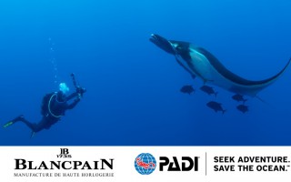 宝珀携手 PADI，致力于 2030 年前助力实现全球 30%海洋面积的保护目标