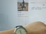 简约大方经典永恒  欧米茄碟飞典雅入手