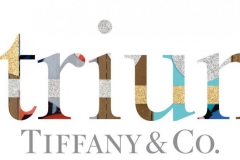 凝心聚力，聚焦改變 蒂芙尼全新推出Tiffany Atrium社會影響力平臺