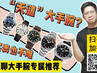 【阿表说表】大手腕保姆级推荐！