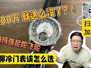 买块帕玛强尼200万没了？聊聊冷门表怎么选