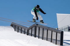 瑞士斯沃琪成為國際雪聯（FIS）雪地及雪道世界杯賽官方合作伙伴