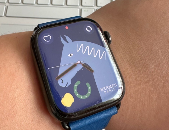 为了身体选择智能表  爱马仕 APPLE WATCH