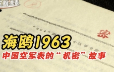 海鸥1963，中国空军表的“绝密”故事