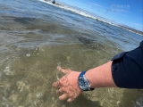 和它一起去阳光海滩  欧米茄海马蓝盘300