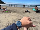 和它一起去阳光海滩  欧米茄海马蓝盘300