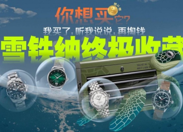 你想買它？雪鐵納怎么買，聽我說說再掏錢