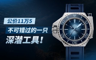 公价11万5，不可错过的一只深潜工具！