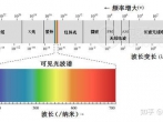 摯愛白金百事可樂  勞力士格林尼治型