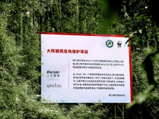 Qeelin携手WWF推进「大熊猫栖息地保护项目」，持续致力野生大熊猫保护计划