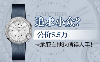 追求小众？公价5.5万，卡地亚白地球值得入手！