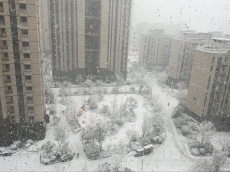 庆贺新年瑞雪下  欧米茄碟飞典雅首发