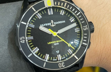 越戴越爱的柠檬鲨  雅典表潜水DIVER42