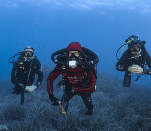 世界海洋日  登录全新宝珀心系海洋官网，与宝珀共同守护海洋！