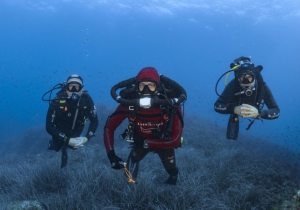 世界海洋日  登錄全新寶珀心系海洋官網，與寶珀共同守護海洋！
