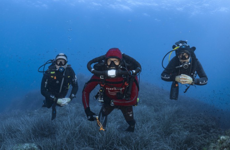 世界海洋日  登錄全新寶珀心系海洋官網，與寶珀共同守護海洋！