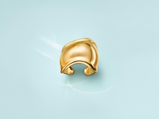 蒂芙尼发布Elsa Peretti®系列Bone戒指与Split戒指 纪念传奇珠宝设计师艾尔莎·柏瑞蒂加入品牌50周年