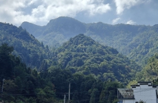 与万宝龙明星一起  探寻仙寓山美景