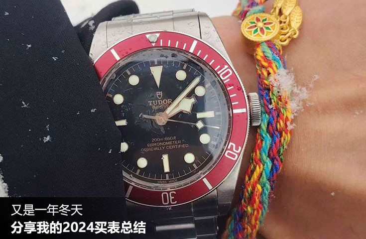  [论坛] 又是一年冬天  分享我的2024买表总结  