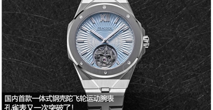 国内首款一体式钢壳陀飞轮运动腕表，孔雀表又一次突破了！