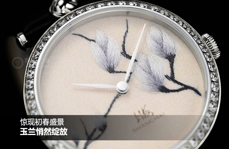 惊现初春盛景，玉兰悄然绽放