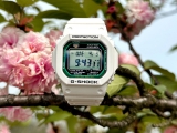 这是春天的小绿圈  我的卡西欧 G-SHOCK