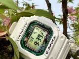这是春天的小绿圈  我的卡西欧 G-SHOCK