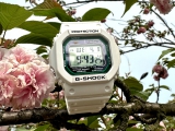 这是春天的小绿圈  我的卡西欧 G-SHOCK